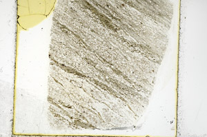 Plane Polarized, N11356