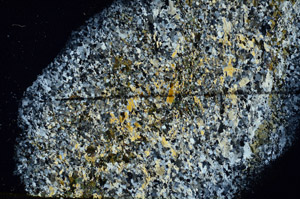Cross Polarized, N11361