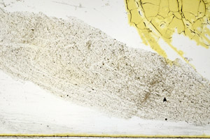 Plane Polarized, N11364/a