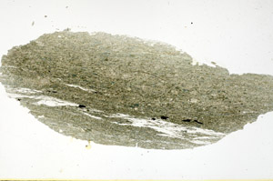 Plane Polarized, N11381