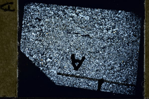 Cross Polarized, N11389/A