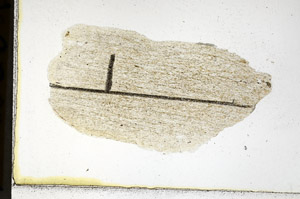 Plane Polarized, N11389/b1