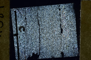 Cross Polarized, N11389/C