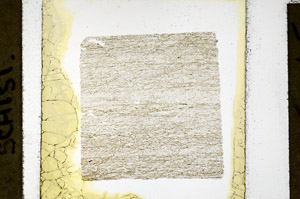 Plane Polarized, N11389/E