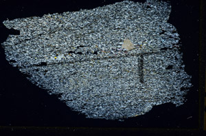 Cross Polarized, N11389/e1