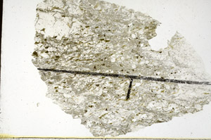 Plane Polarized, N11390