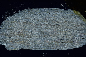 Cross Polarized, N11392