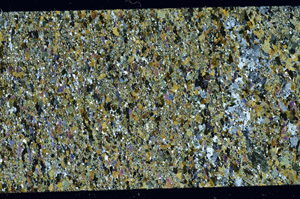 Cross Polarized, N11418