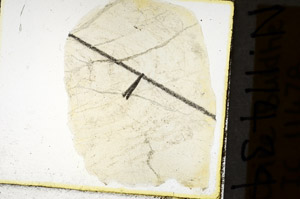 Plane Polarized, N11434