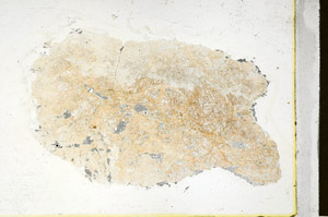Plane Polarized, N11435