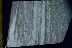 Cross Polarized, N11439