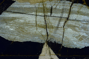 Cross Polarized, N11439/B