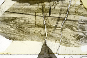 Plane Polarized, N11439/B