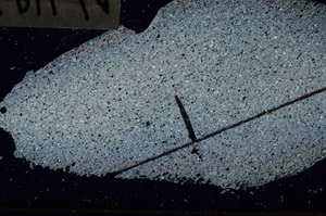 Cross Polarized, N11458/b