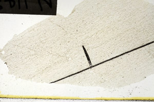 Plane Polarized, N11458/b