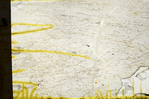 Plane Polarized, N11462/b