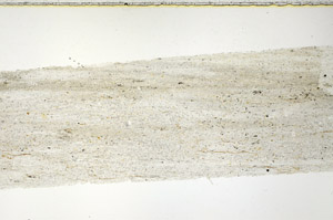 Plane Polarized, N11462/c