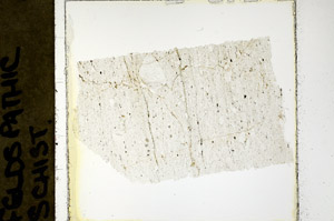 Plane Polarized, N11464/A