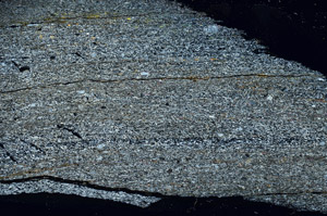 Cross Polarized, N11467/a
