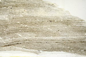 Plane Polarized, N11467/a