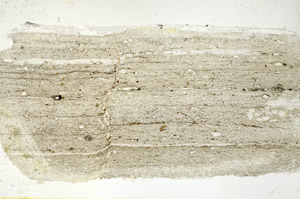 Plane Polarized, N11467/b