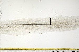 Plane Polarized, N11468