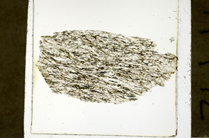 Plane Polarized, N11472