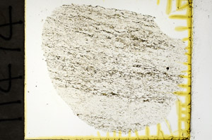 Plane Polarized, N11474