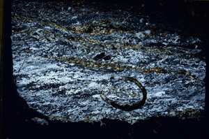 Cross Polarized, N11475