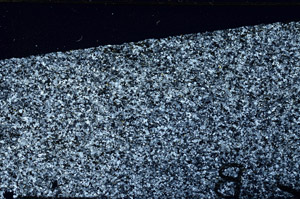 Cross Polarized, N11479/c