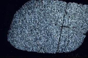 Cross Polarized, N11485
