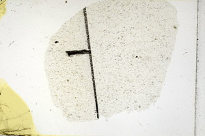 Plane Polarized, N11486