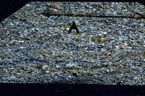 Cross Polarized, N11487/A