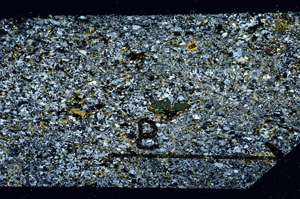 Cross Polarized, N11487/B