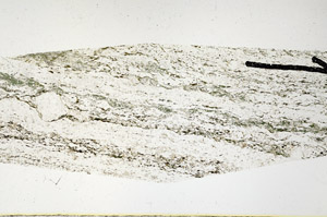 Plane Polarized, N11489