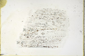 Plane Polarized, N11492