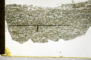 Plane Polarized, N11495