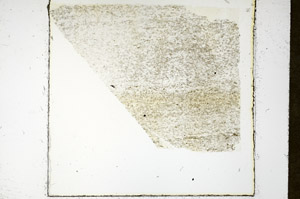 Plane Polarized, N11496/C