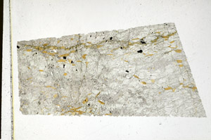 Plane Polarized, N11510/A