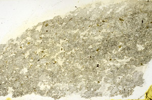 Plane Polarized, N11511