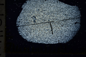 Cross Polarized, N11517