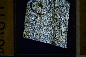 Cross Polarized, N11521