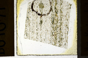 Plane Polarized, N11521