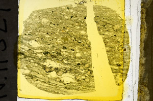 Plane Polarized, N11524