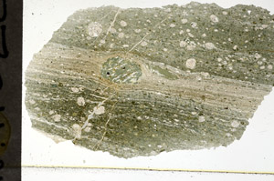 Plane Polarized, N11526