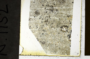 Plane Polarized, N11527