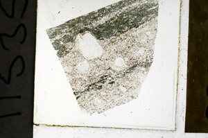Plane Polarized, N11535