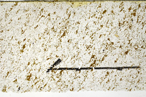 Plane Polarized, N11536