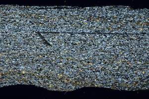 Cross Polarized, N11536/A
