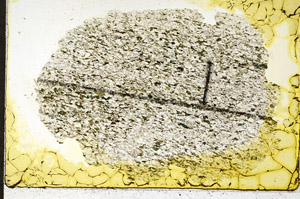 Plane Polarized, N11537